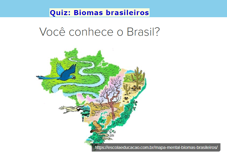 Quiz: Biomas brasileiros